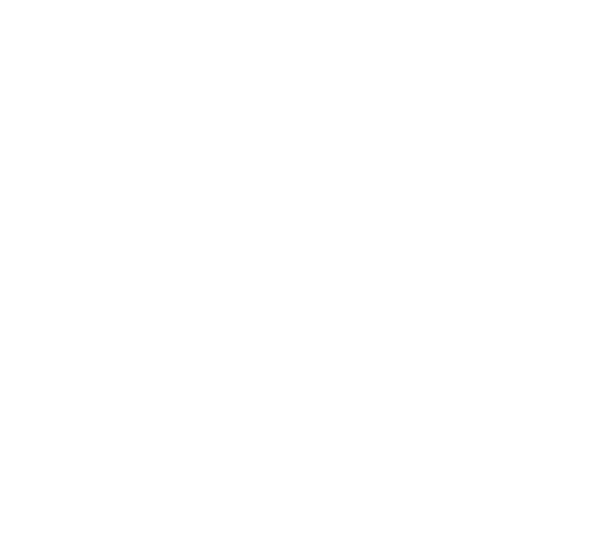 crows nest logo